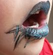 spider_1.jpg